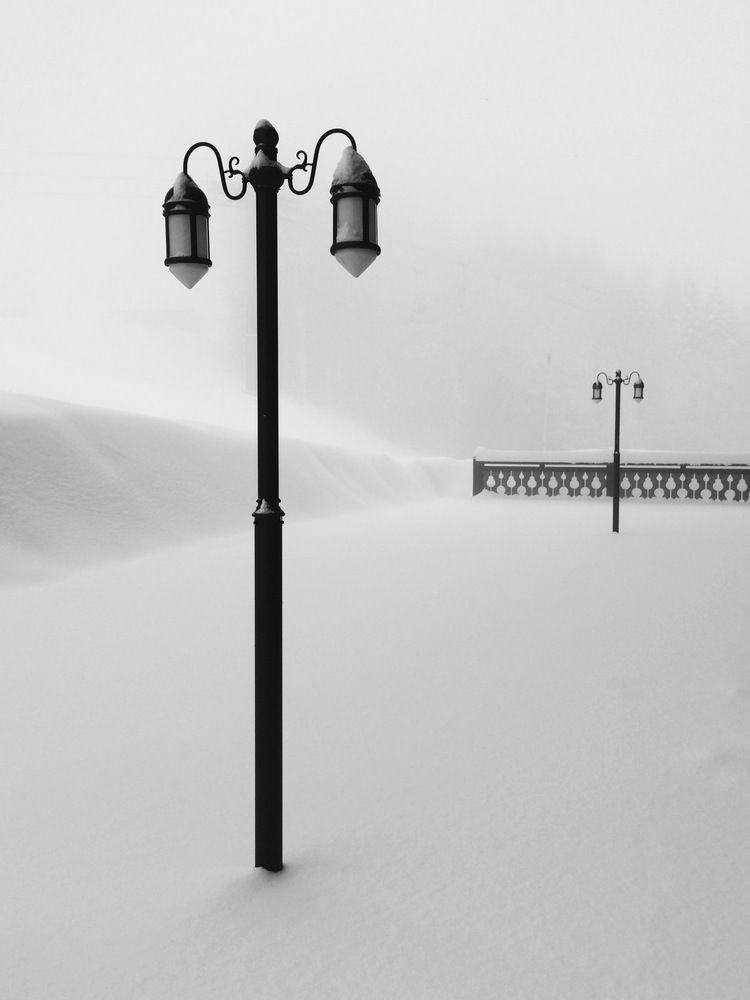 Photograph by Шарова Ольга