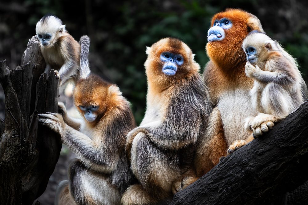 Photograph by Марина Маликова