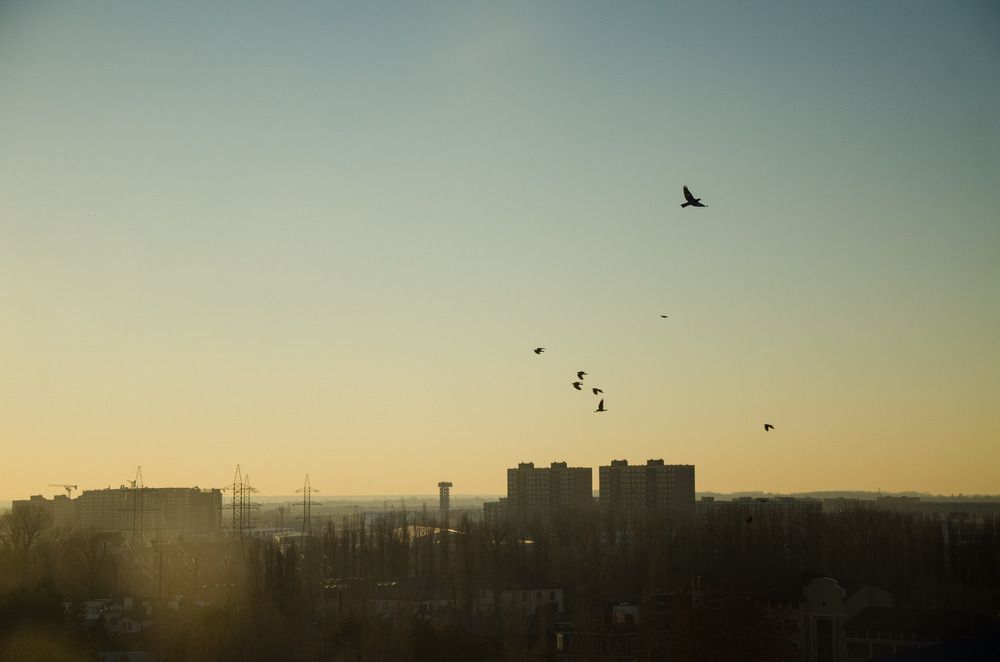 Вечер Краснодара/Krasnodar Evening