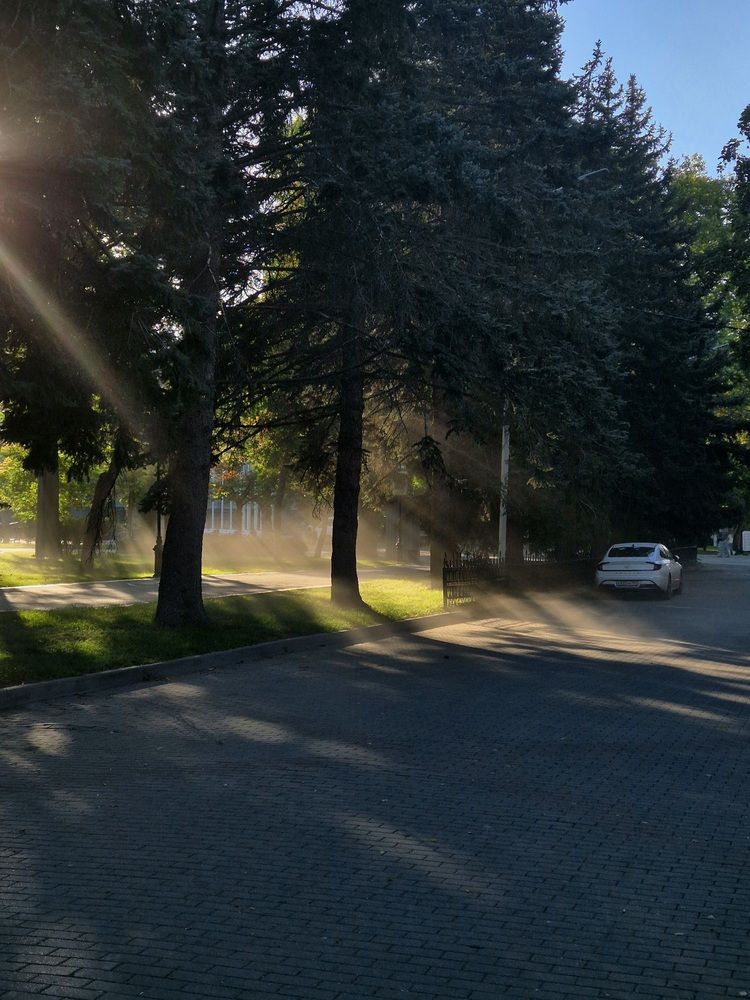 Осенние прогулки с запахом прохлады/Autumn walks with the smell of coolness