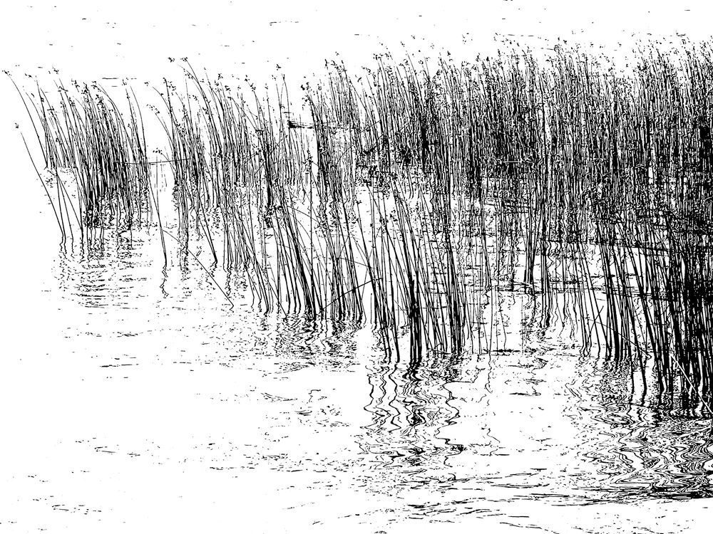Photograph by Шарова Ольга