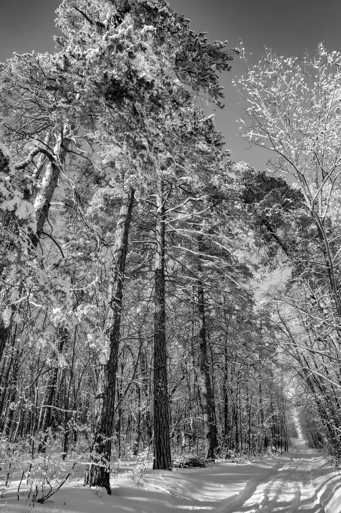 Фотография автора Андрей Арапов
