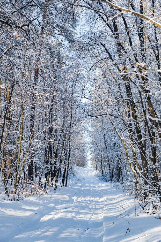 Фотография автора Андрей Арапов