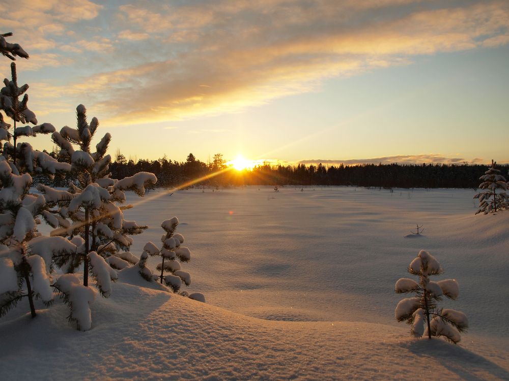 Зимний закат / sunset in winter