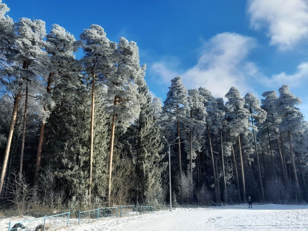 Photograph by Kryakushka