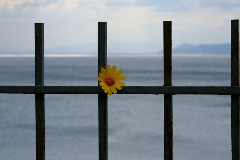 Photograph by Effie Zacharia