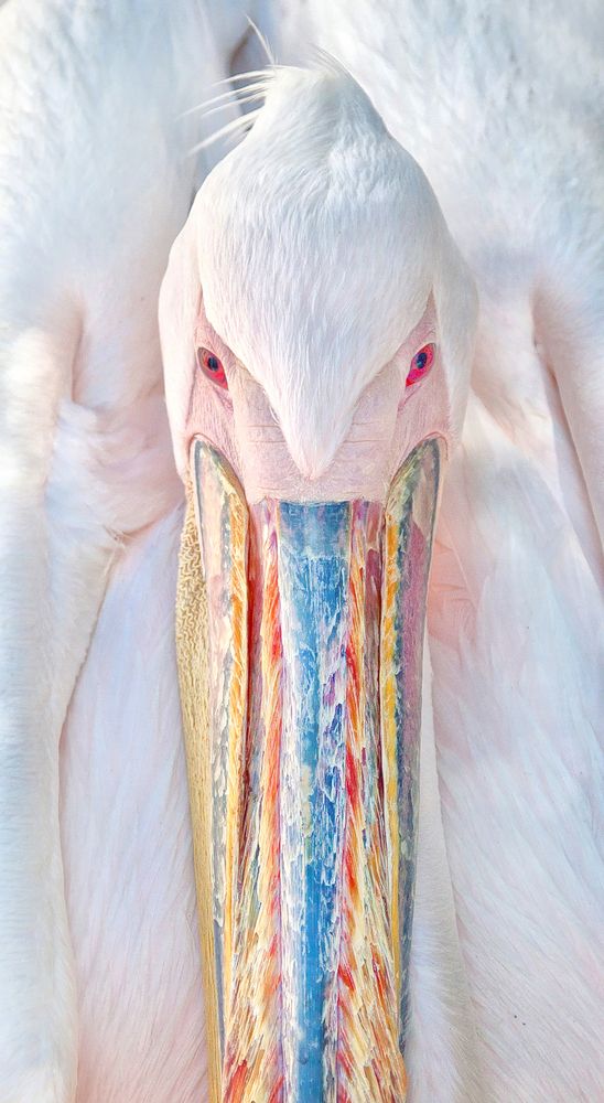 Photograph by Андрей Гринев