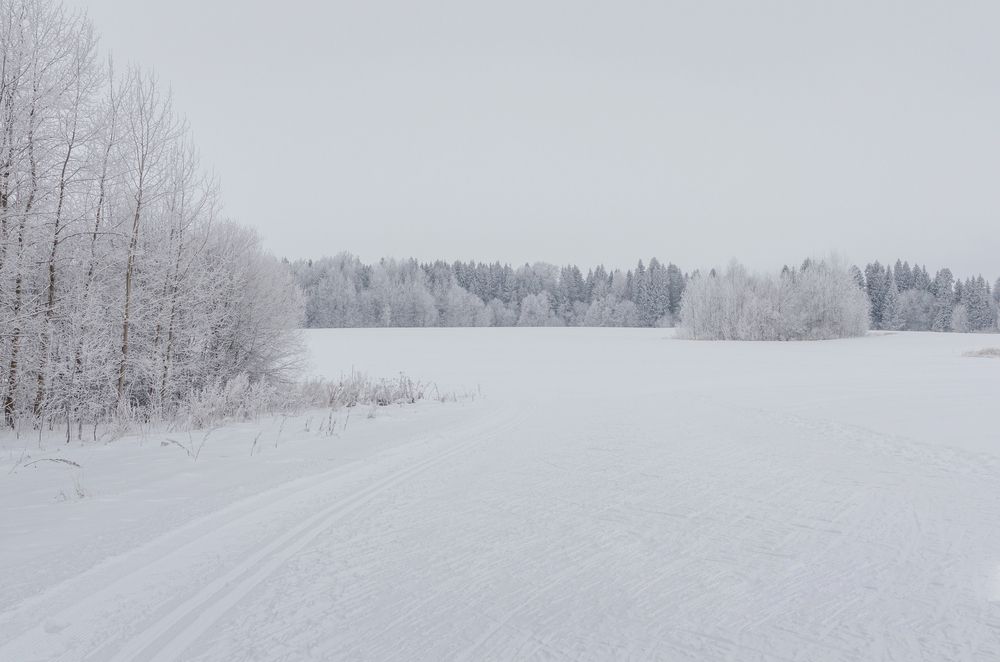 Photograph by Киселев Анатолий