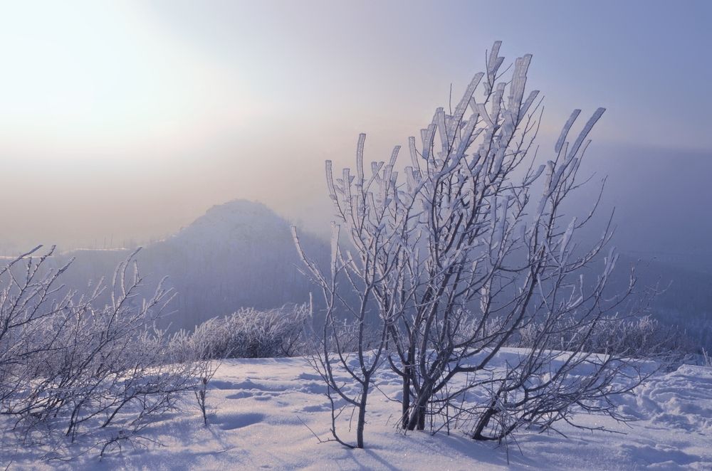 Photograph by Наталья Иванова