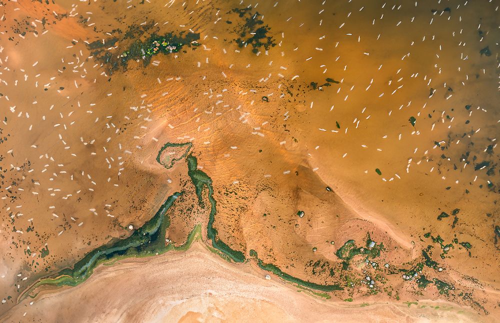 Photograph by Андрей Гринев