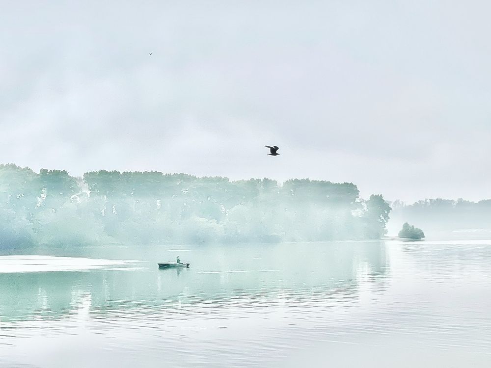 Photograph by Шарова Ольга
