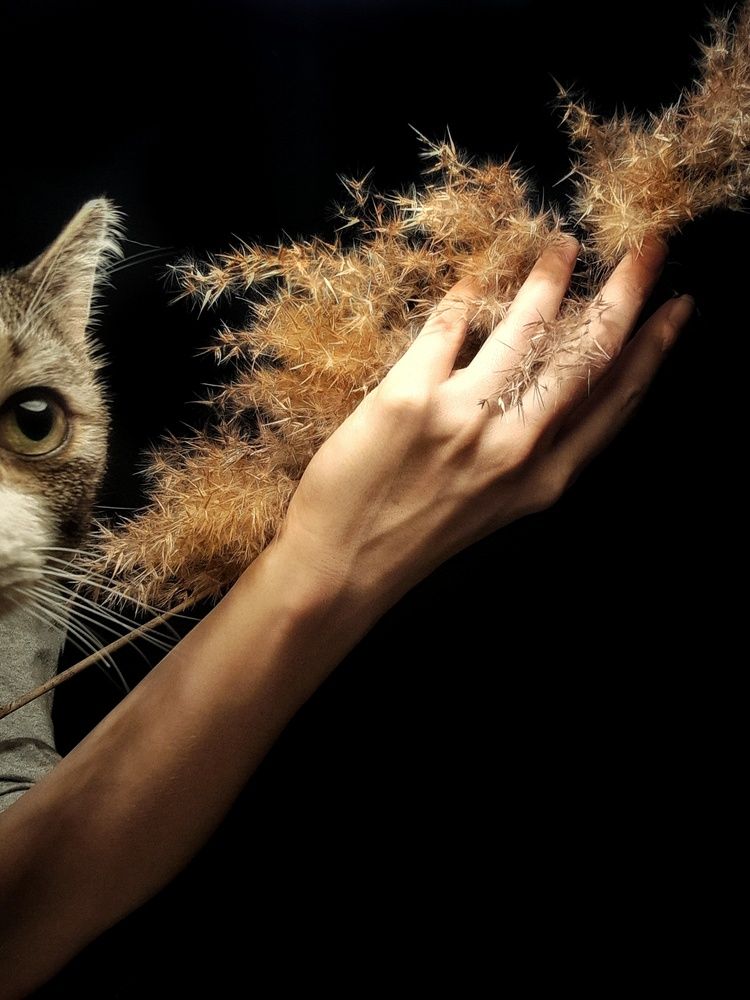 Photograph by Kryakushka