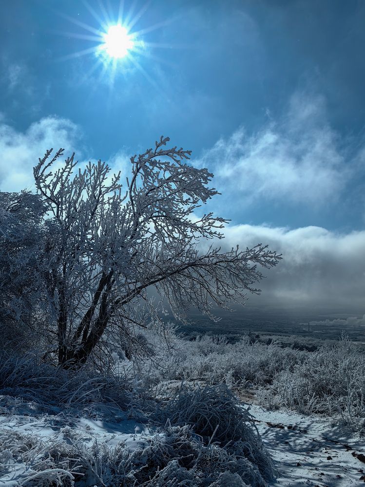 Photograph by Igor M.