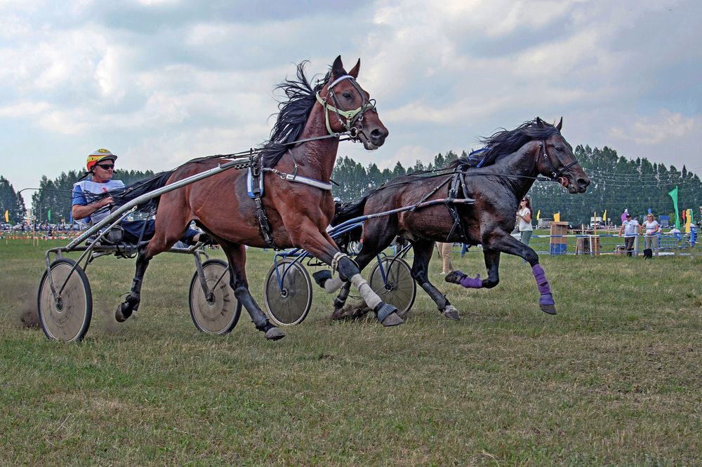 Photograph by Илфир Исламгазин