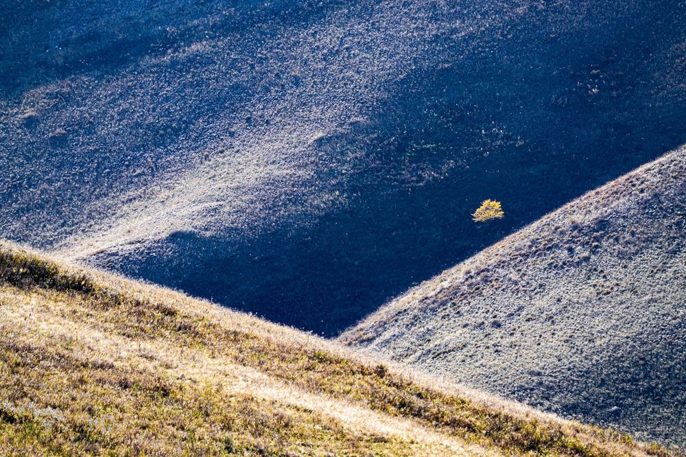 Photograph by Андрей Черкасов