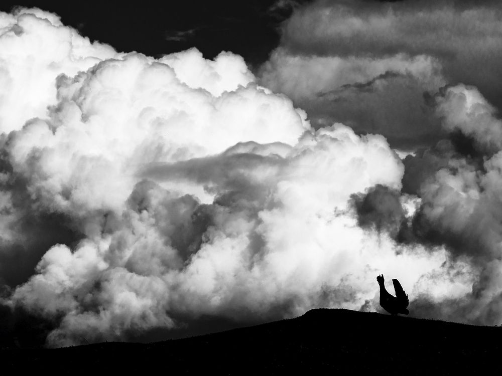 Фотография автора Ervin Horesnyik