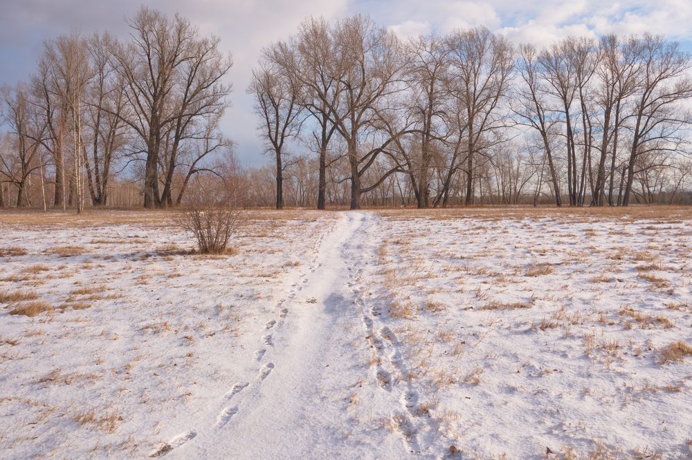 Photograph by Максим Куприянчик