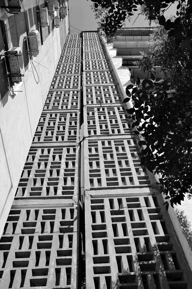 Photograph by Андрей Звездов