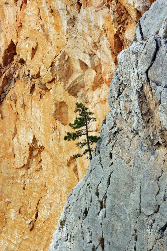 Photograph by Владимир Бочковский