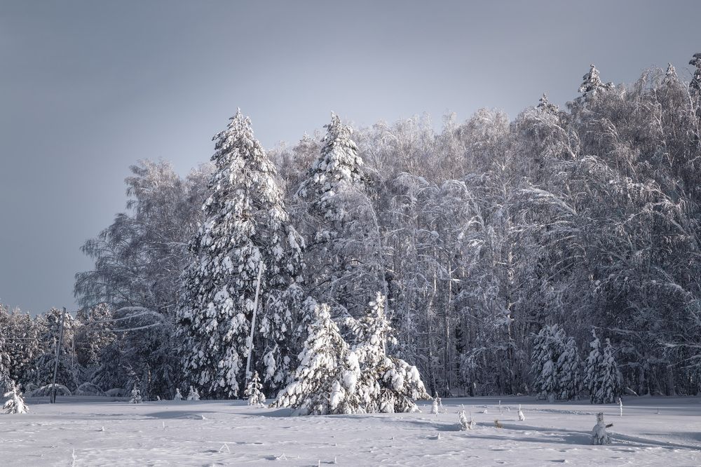 Photograph by Юрий Золотарев