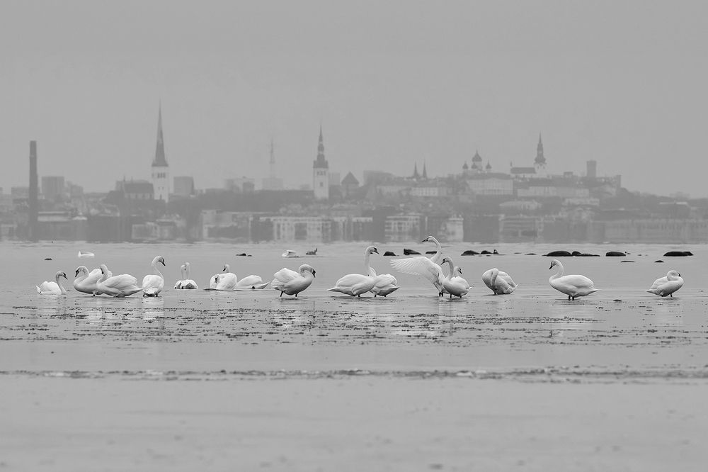 Фотография автора Юрий Макаров