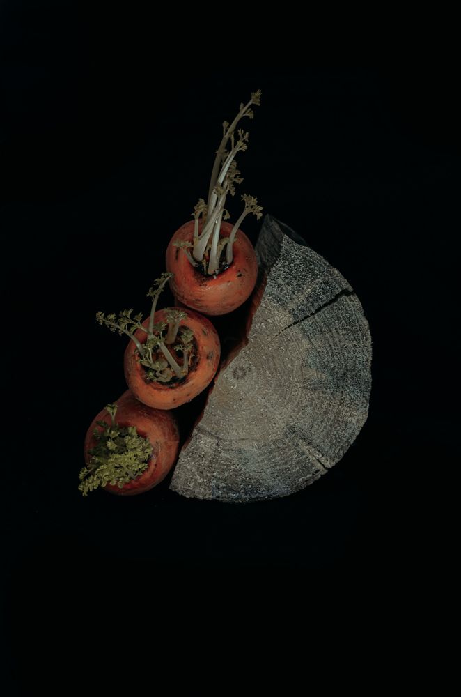 Фотография автора Наталья Алексеева