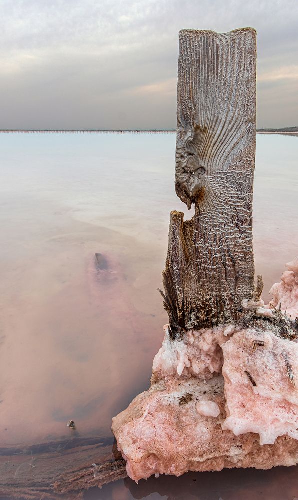 Photograph by Владимир Бочковский