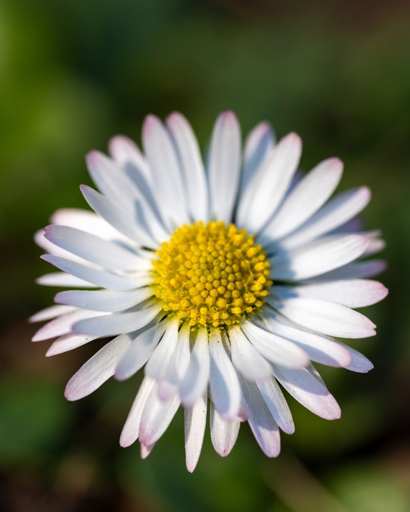 Photograph by Sercan ALKAN