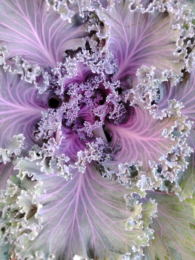 Галактика - 1 Galaxy -1