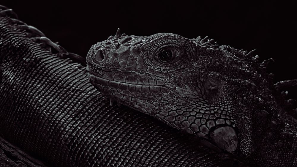 Фотография автора Nam Phạm