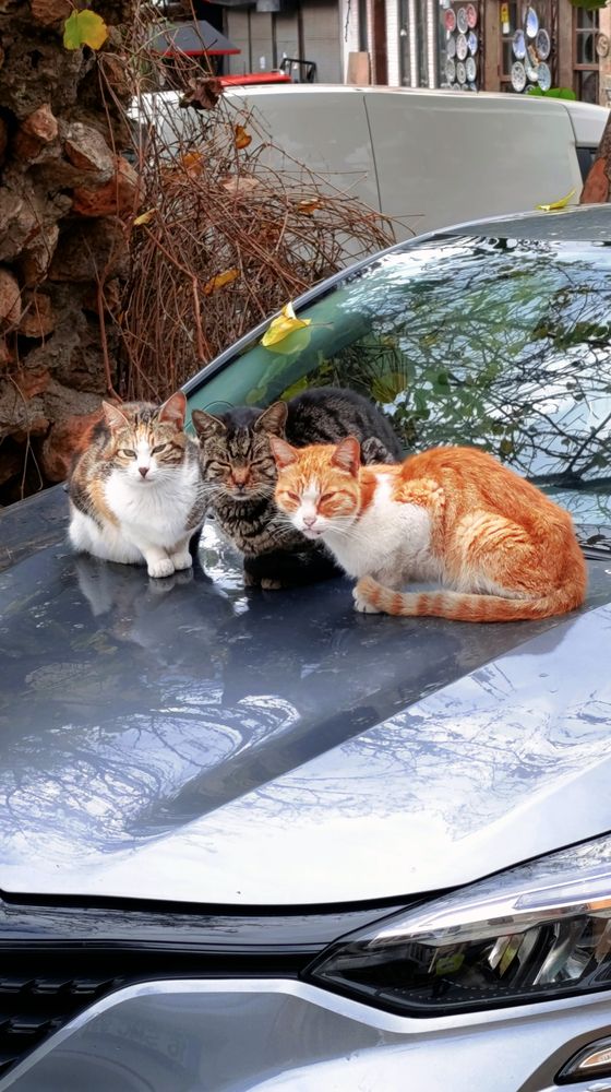 Photograph by Дмитрий Челноков