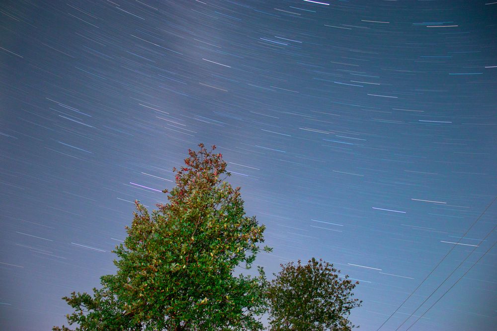 Photograph by Алексей Медведев