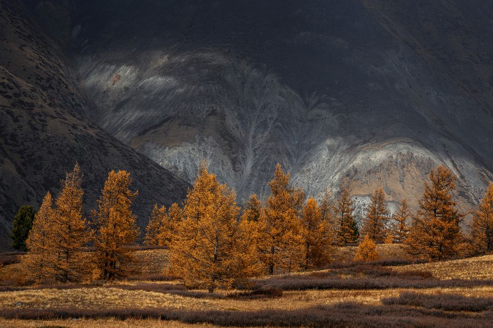 Photograph by Лаптева Юлия