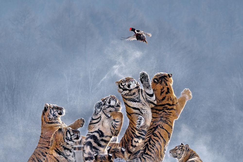 Photograph by Николай Мозгунов