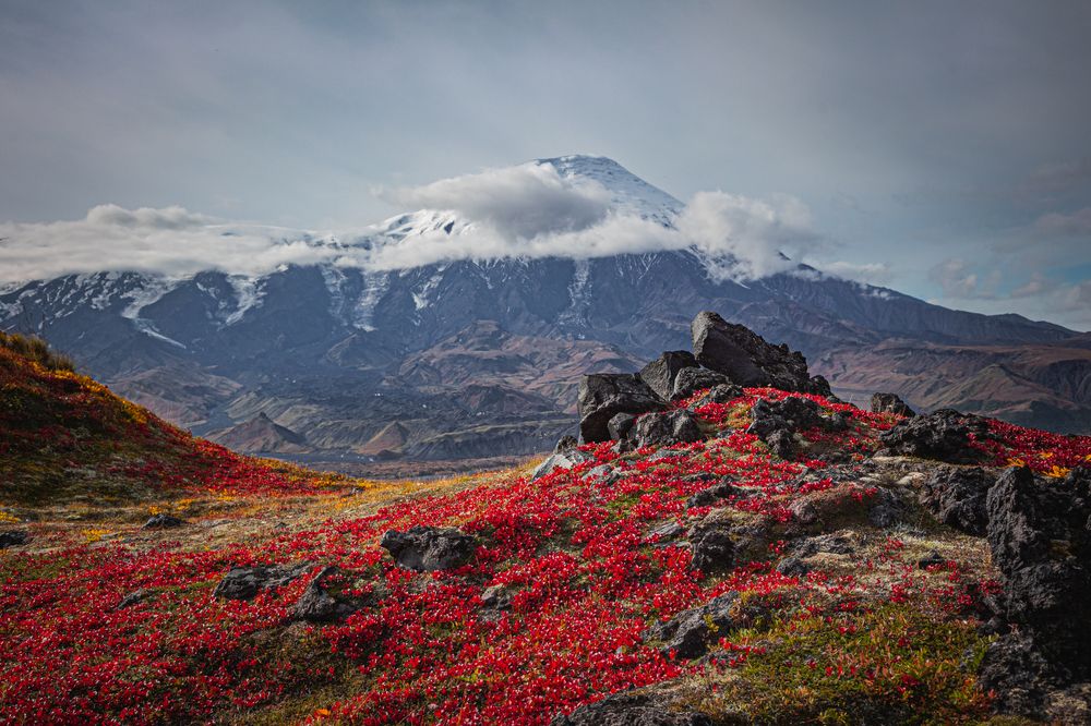 Photograph by Ксения Попова