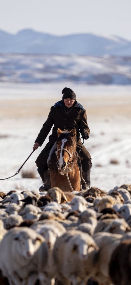 Photograph by vladislav kim kim