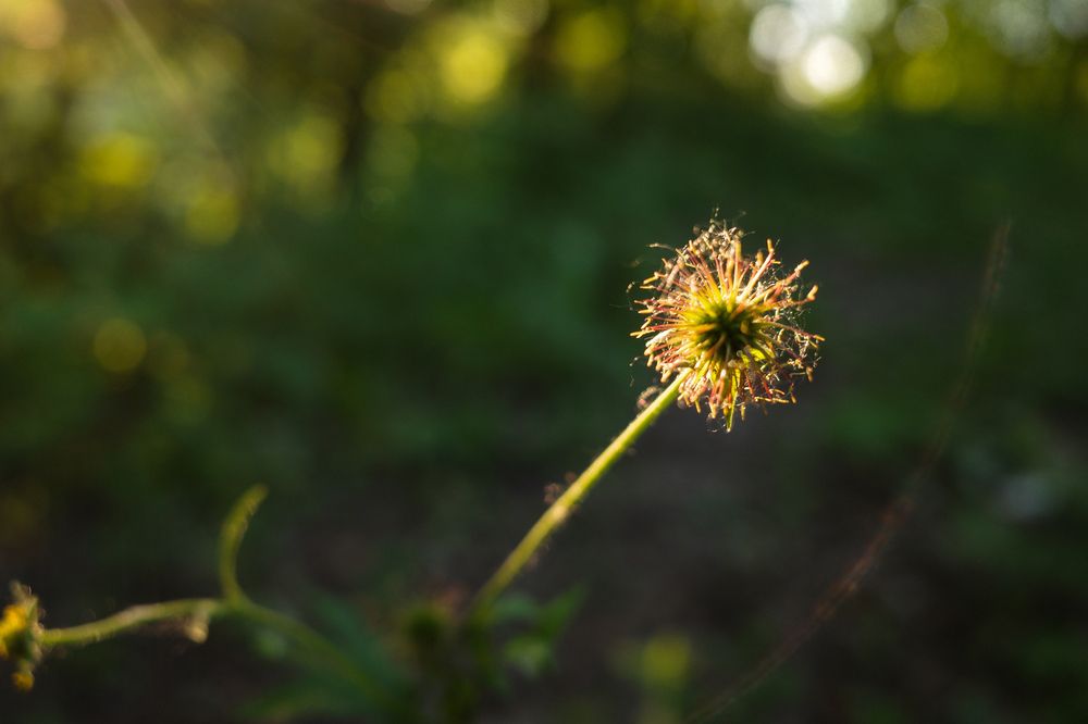 Photograph by Алла Никушкина