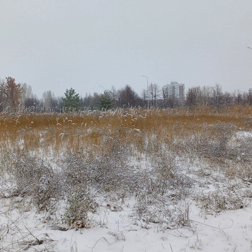 Photograph by Владимир Дмитриев