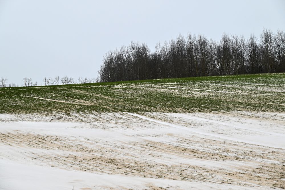 Photograph by Iriks Chan