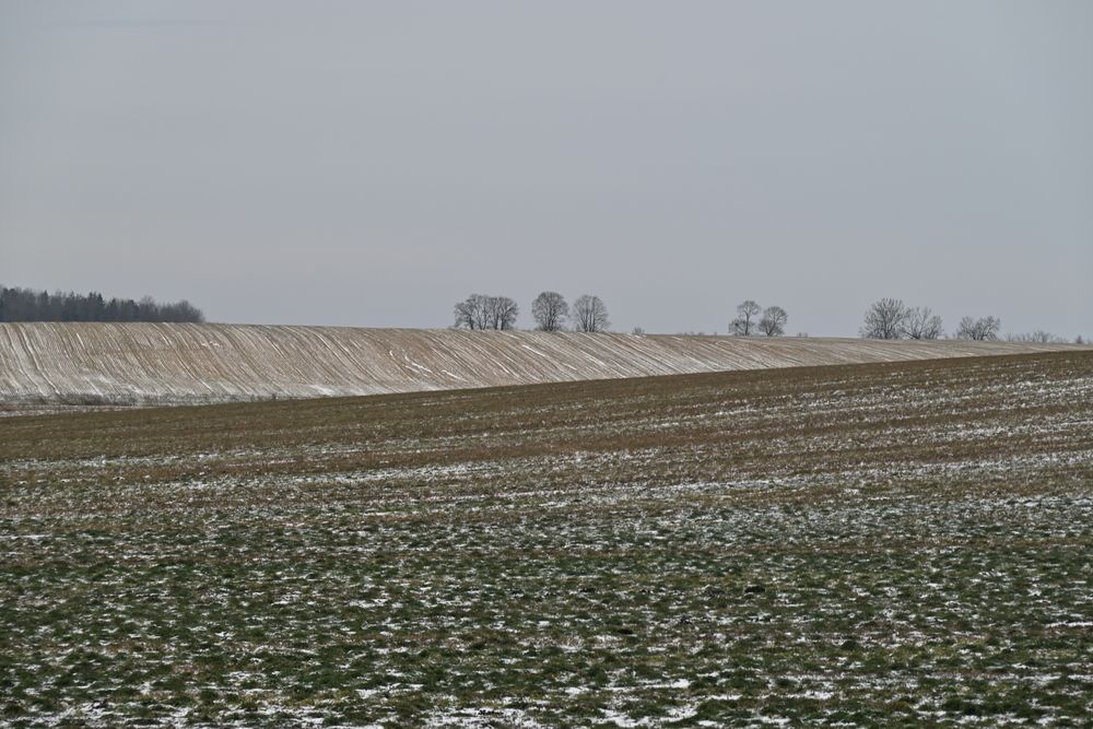 Photograph by Ирина Сергиевская