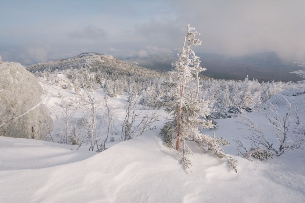 Фотография автора Алексей Проняхин