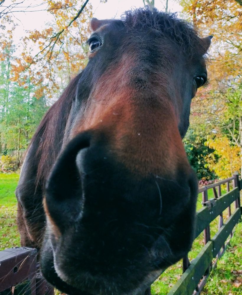 Photograph by A.B M.A