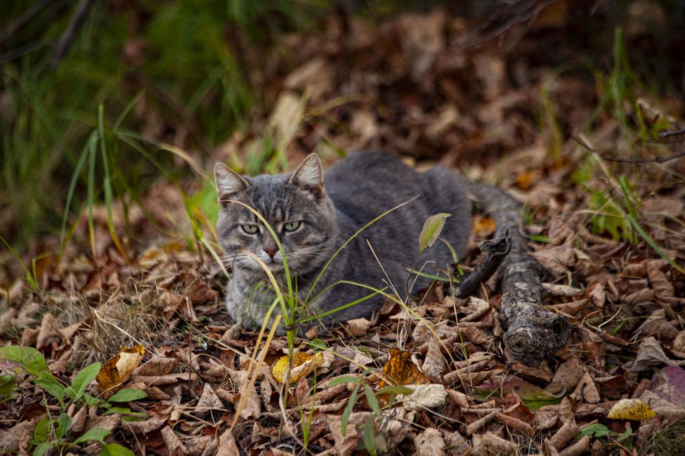 Photograph by Максим Савин