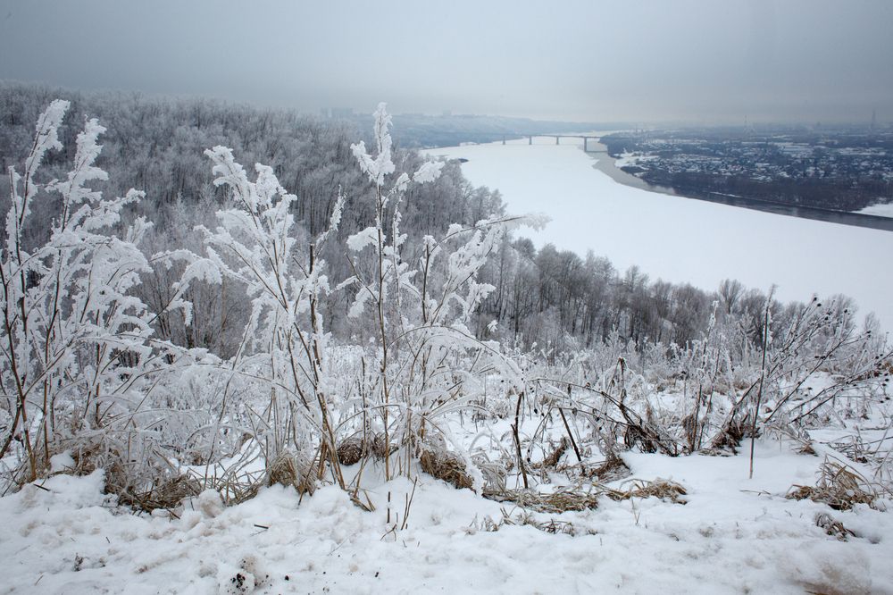 Photograph by Дарья Улюсова