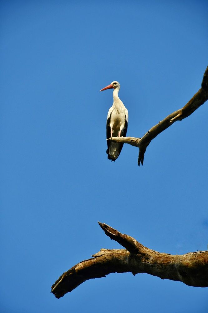 Photograph by Amin Golestanipour