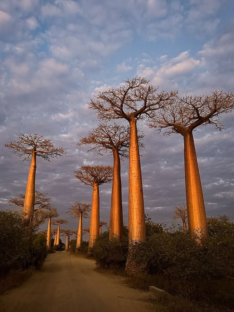 Photograph by Марина Маликова