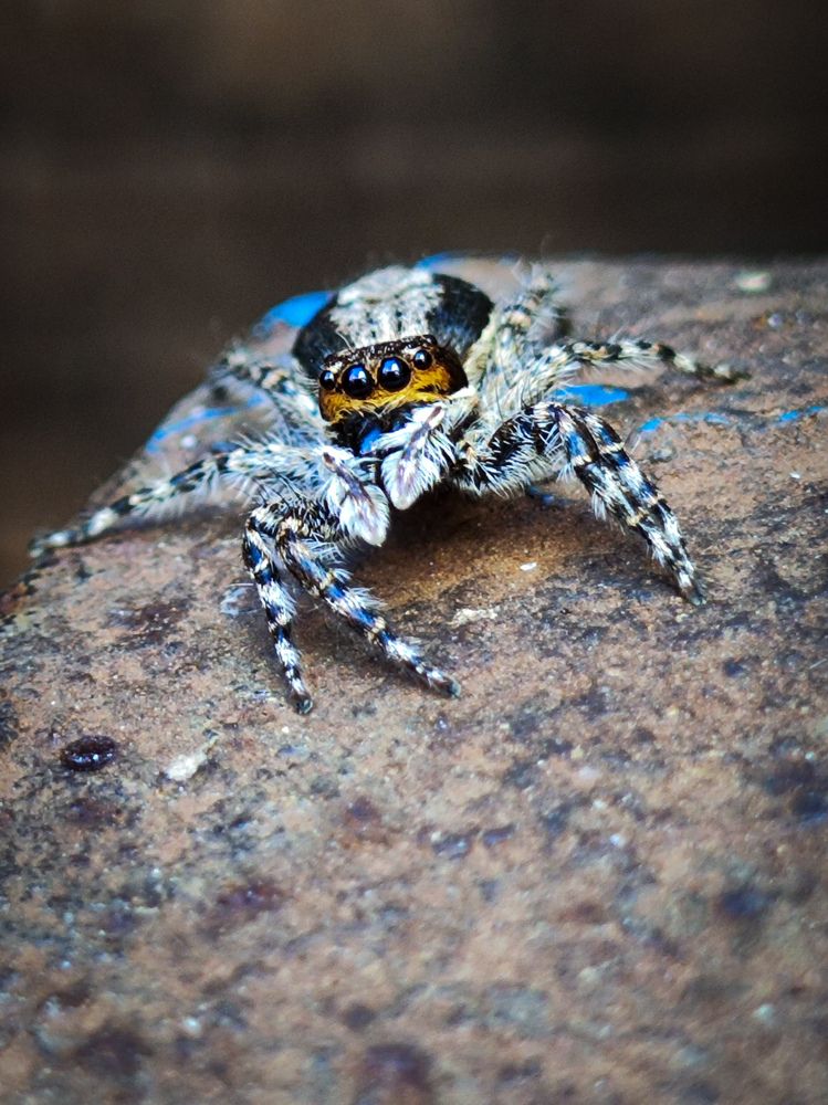 Photograph by Rivaldo