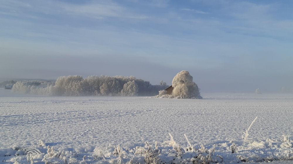 Photo #11853860