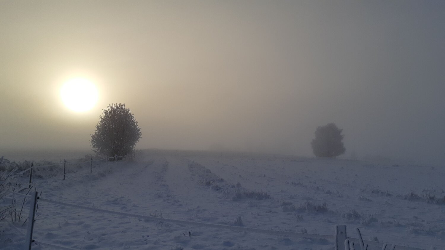 Photo #11853869