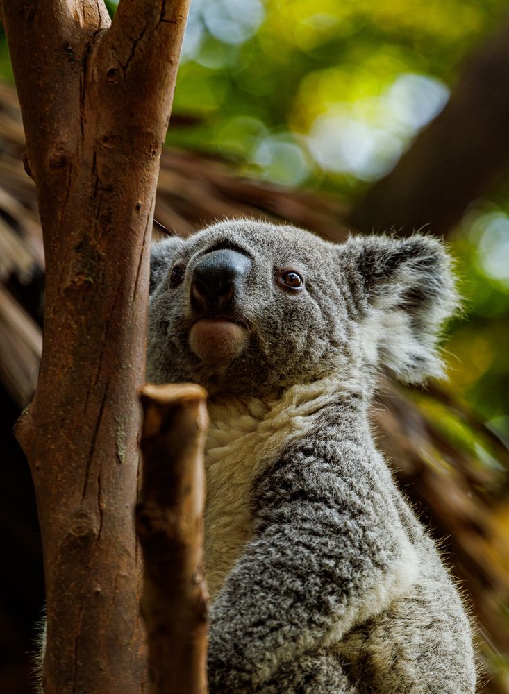 Photograph by Федор Гурьев